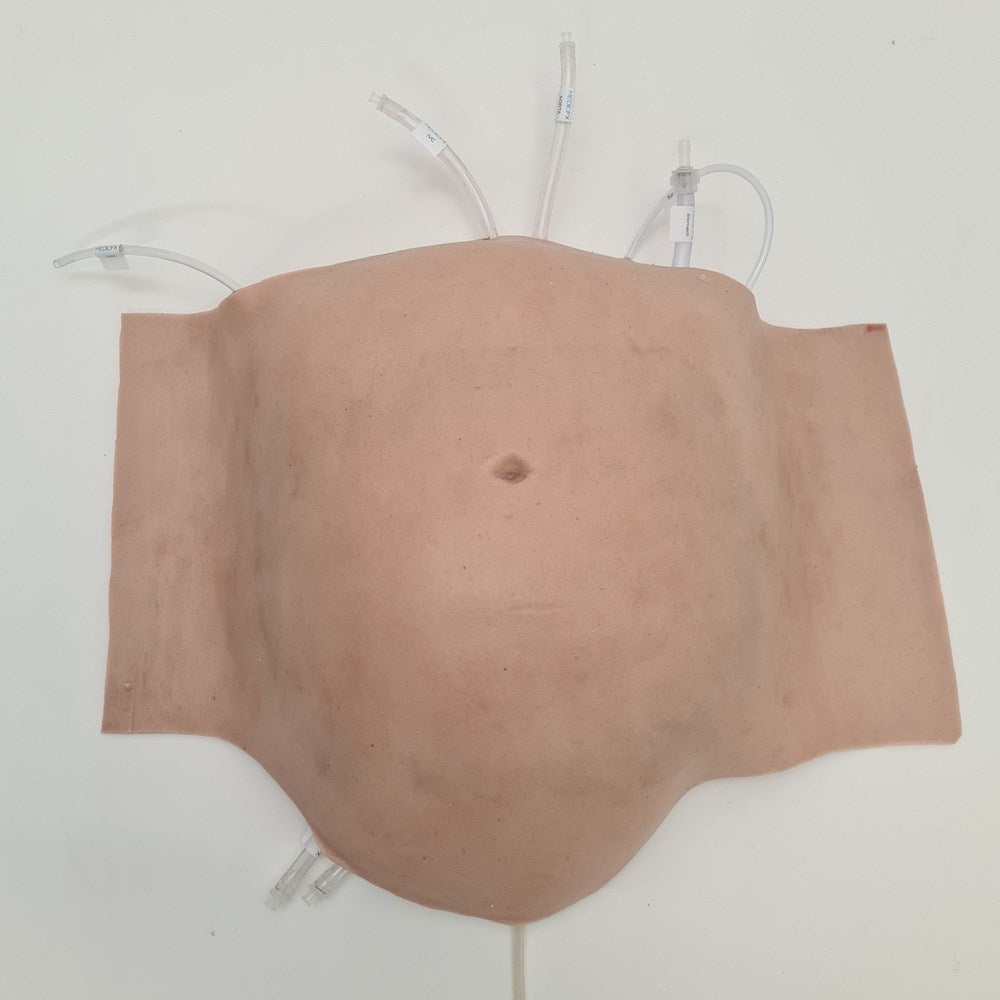 Abdominal Model